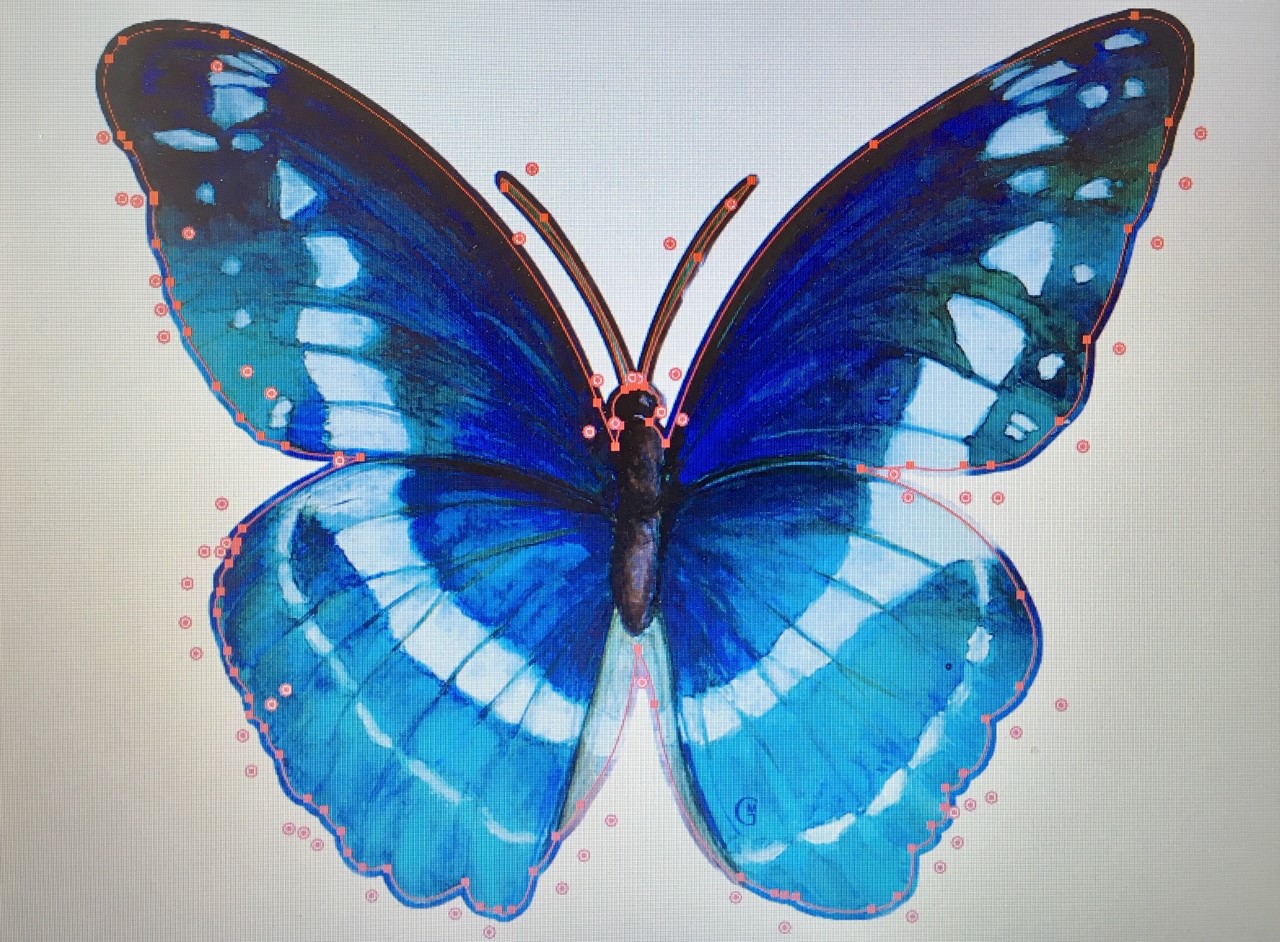 un stickers papillon détouré à la forme