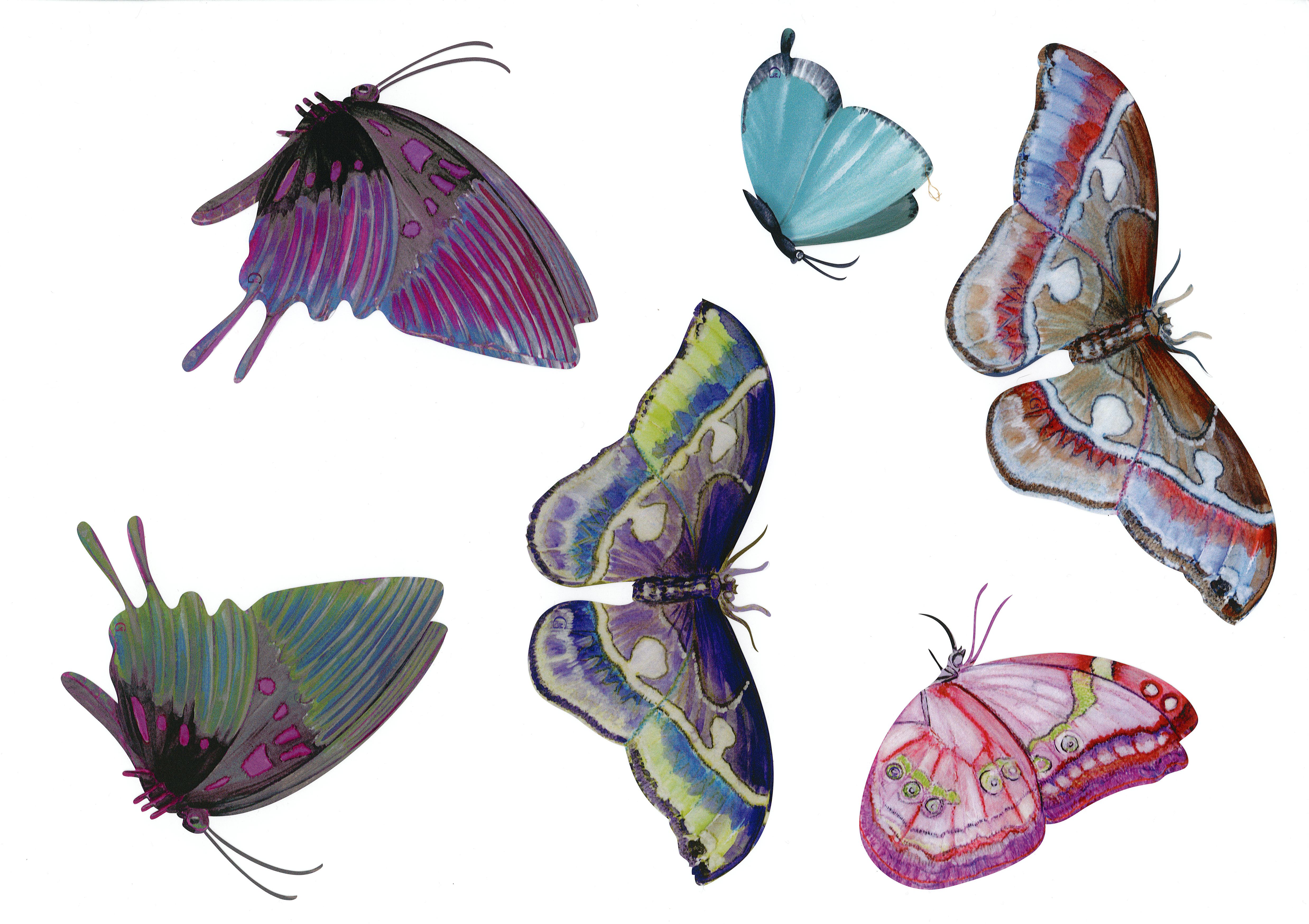 6 Papillons, variation