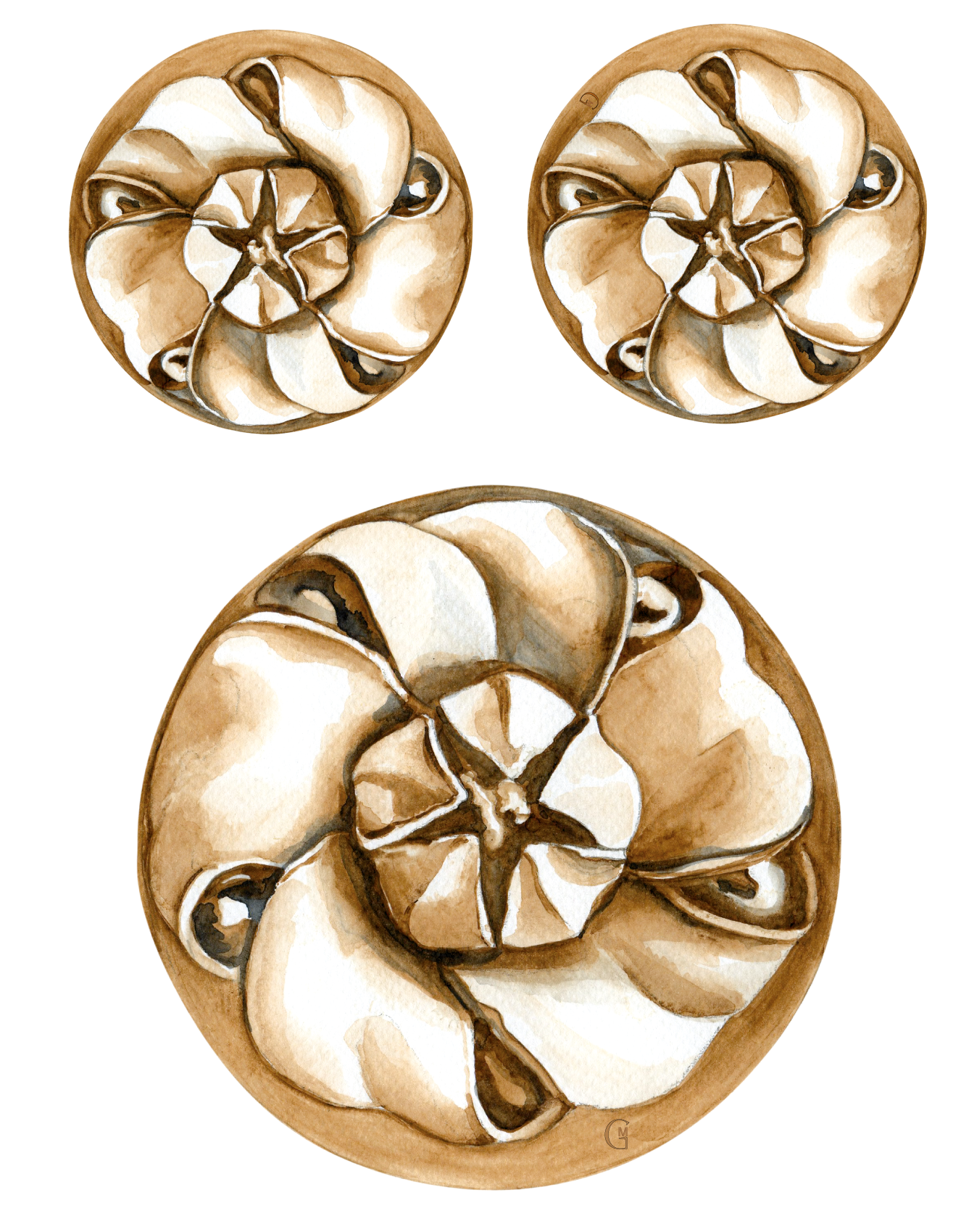 Ornement Rosace Noeud